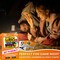 QUOKKA Board Games for Kids 8-12 and Family - Educational Card Game for Kids Age 12+ - Who Knows Culture and Literature Better? - 500+ Questions - Trivia for Family Game Night and Travel Fun